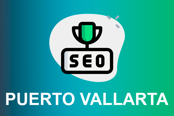 SEO puerto vallarta