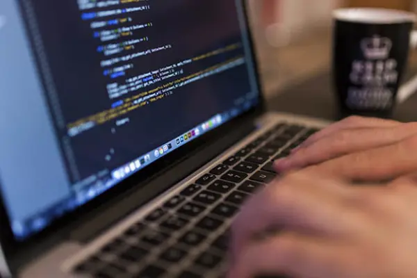 desarollo web puerto vallarta