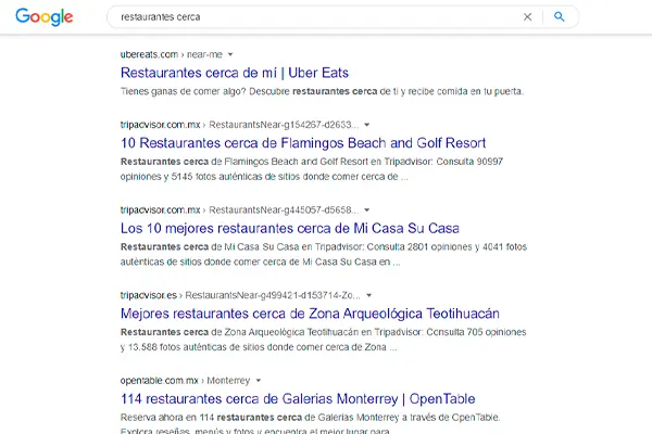 SERP-disenowebpuertovallarta